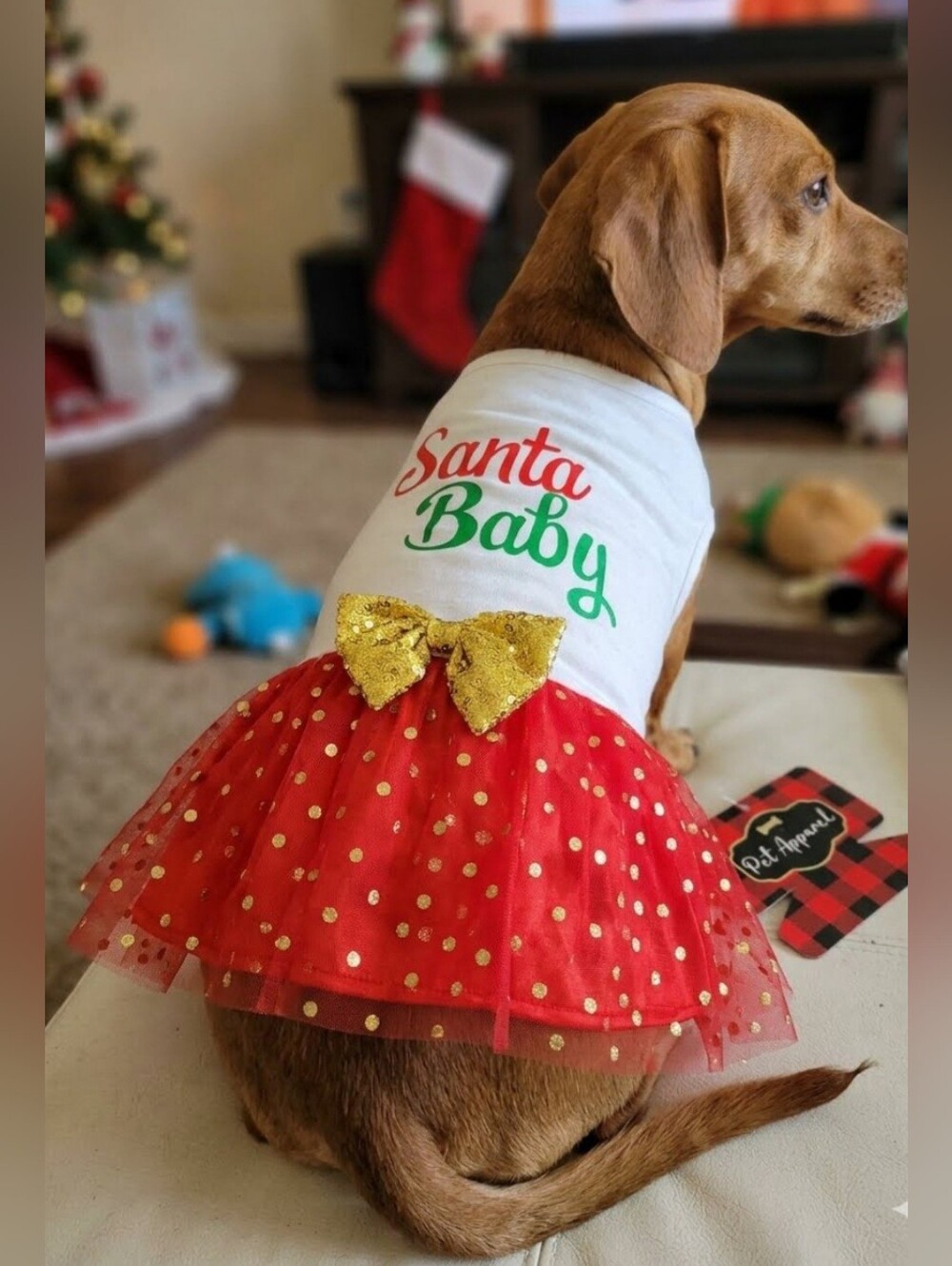 Dog Animal Holiday Santa Baby Outfit NWT